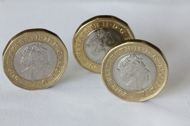cizí mince